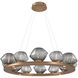 Mesa LED Novel Brass Chandelier Ceiling Light, Ring