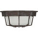 Exterior Collections 1 Light 9 inch Rustic Bronze Outdoor Flush Mount