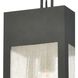 Angus 1 Light 7 inch Charcoal with Clear Outdoor Pendant