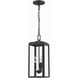 Byron 3 Light 7.5 inch Matte Black Outdoor Pendant
