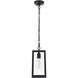 Veda 1 Light 5.5 inch Black Outdoor Pendant