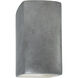 Ambiance Rectangle LED 7.25 inch Antique Silver ADA Wall Sconce Wall Light, Large