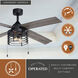 Rowan 22.44 inch Black with Driftwood-Black Walnut Blades Ceiling Fan