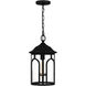 Brampton 1 Light 9.5 inch Matte Black Mini Pendant Ceiling Light