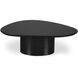 Eden 46 X 31.5 inch Black Coffee Table
