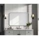 Remy 30 X 20 inch Silver Mirror