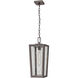 Madison 1 Light 8 inch Bronze Outdoor Pendant in Waterglass