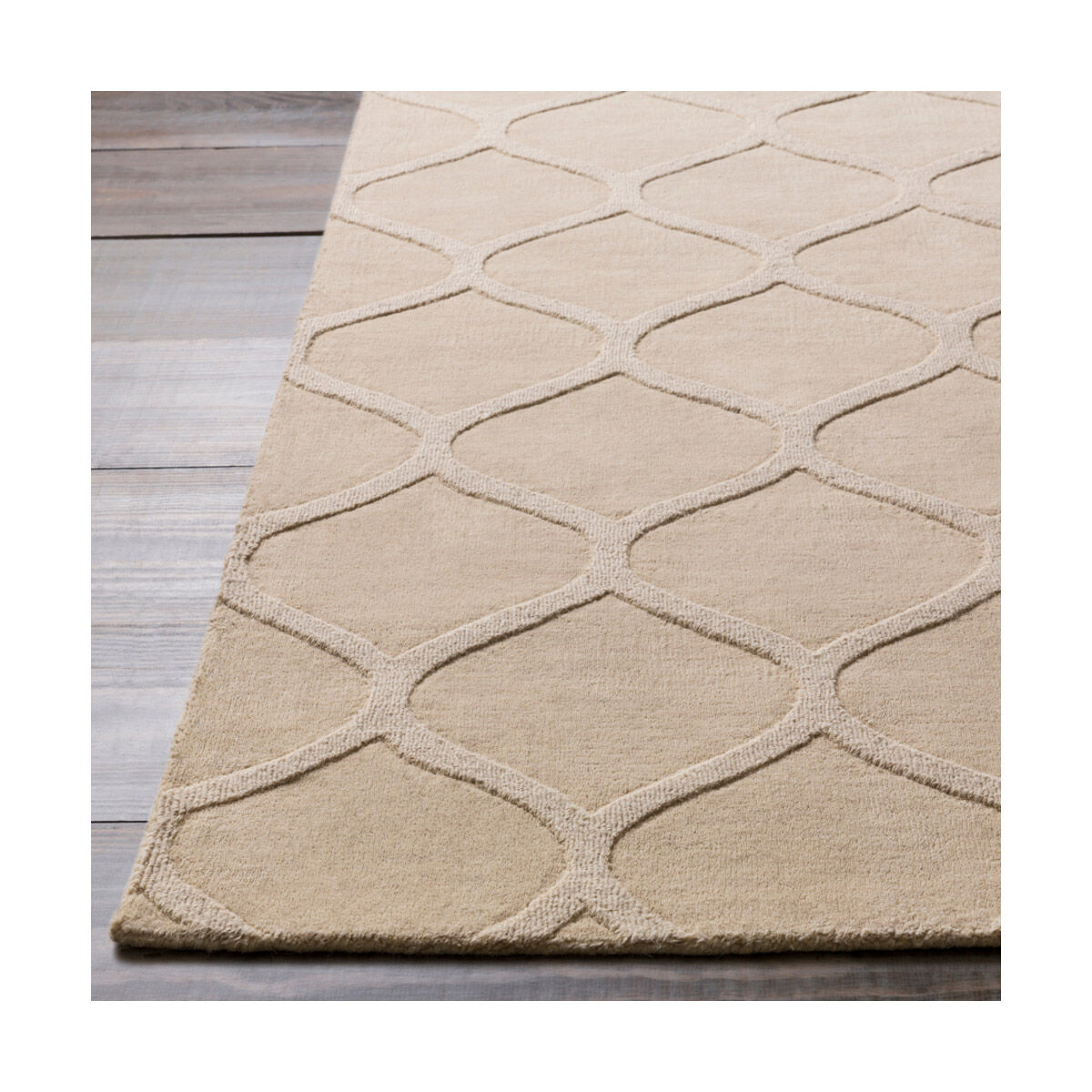 Mystique 36 X 24 inch Cream Rugs, Wool