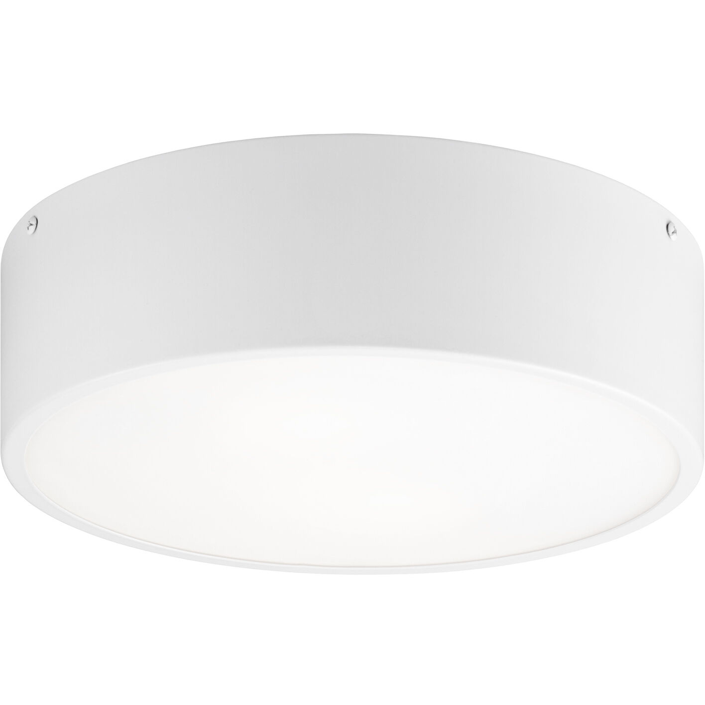 Snare 2 Light 12 inch White Flush Mount Ceiling Light