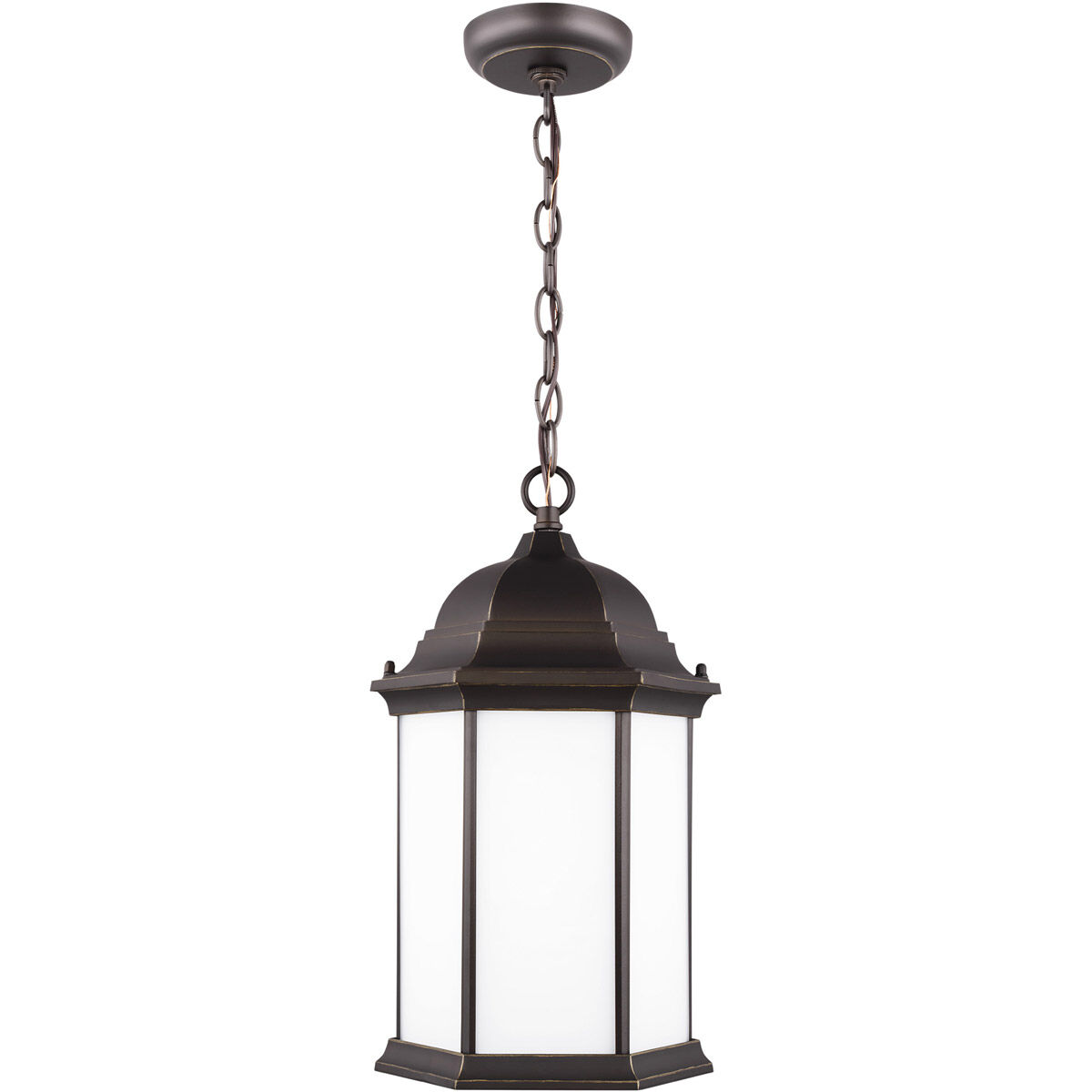 Sevier 1 Light 9.38 inch Outdoor Pendant/Chandelier