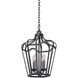 Livingston 4 Light 14 inch Charcoal Hanging Lantern Ceiling Light