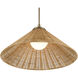 Bekah 1 Light Champagne Bronze Pendant Ceiling Light, Convertible