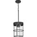 Burgess 1 Light 9.5 inch Matte Black Mini Pendant Ceiling Light, Design Series