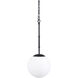 Edie 12 inch Black Pendant Light Ceiling Light