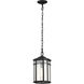 Raiden 8 inch Matte Black Outdoor Hanging Lantern