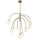 Fusion Collection - Noho Family 9 Light 32 inch Brushed Brass Chandelier Ceiling Light in 32" D x 32" W x 35" H, EVOLV