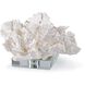 Flower Coral 8 X 4.5 inch Sculpture, Crystal Base