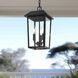 Riggs 3 Light 8 inch Black Outdoor Pendant
