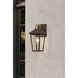 Bayra 1 Light 13 inch Painted Legacy Brass and Dark Bronze Outdoor Wall Lantern