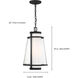 Anau 1 Light 10.5 inch Matte Black and Glass Outdoor Hanging Lantern