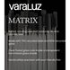 Matrix 3 Light 14 inch Matte Black and French Gold Pendant Ceiling Light in Matte Black/French Gold