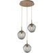 Aster Incandescent 3 Light Novel Brass Chandelier Ceiling Light, Round Multi-Pendant
