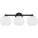 Ansley 3 Light 22.75 inch Matte Black Vanity Light Wall Light