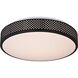 Anson LED 13.5 inch Black Flush Mount Ceiling Light