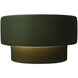 Ambiance LED 10 inch Pewter Green ADA Wall Sconce Wall Light