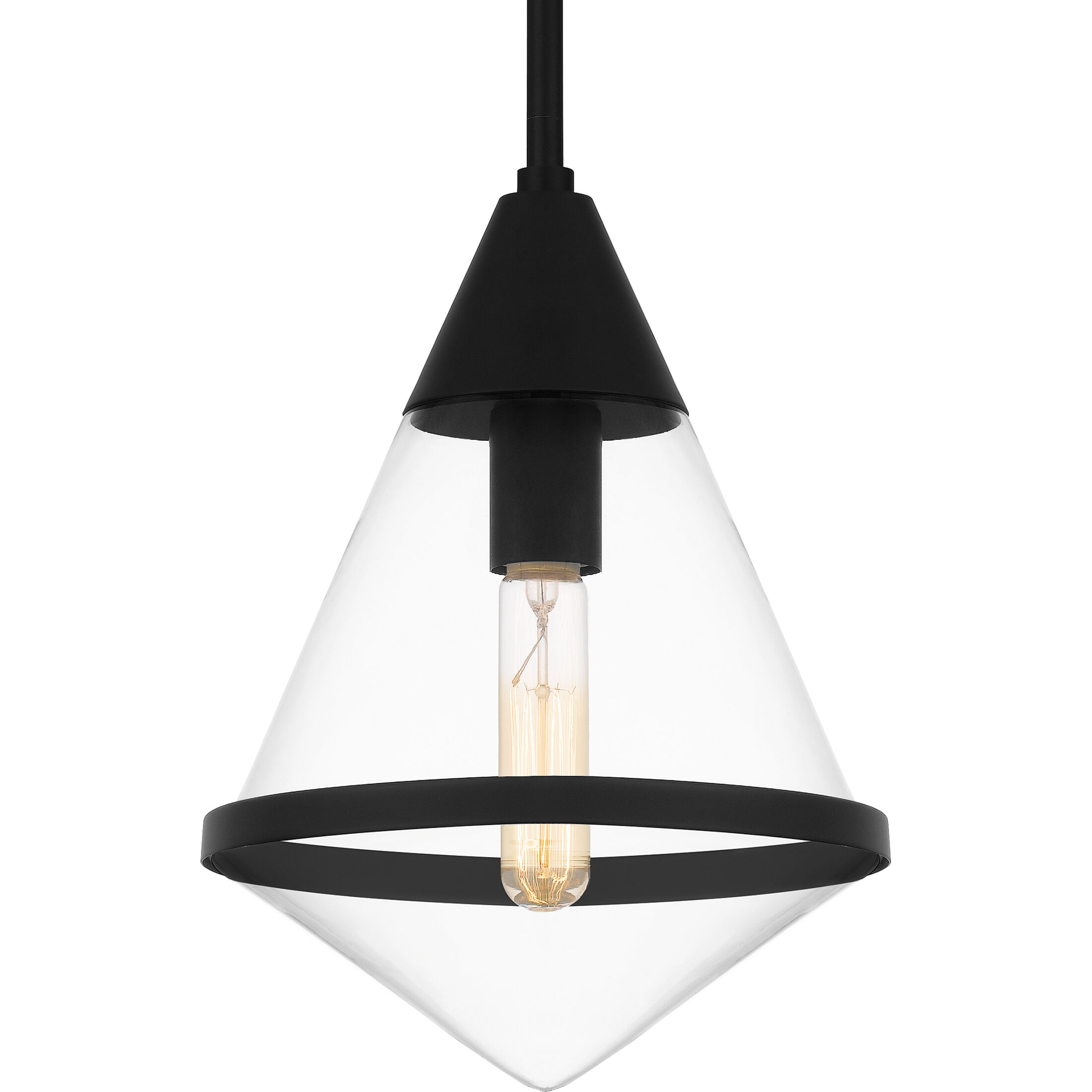 Hidalgo 1 Light 9.5 inch Matte Black Mini Pendant Ceiling Light