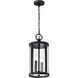 Broadstone 2 Light 8.63 inch Matte Black Outdoor Hanging Light