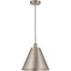 Edison Cone LED 12 inch Brushed Satin Nickel Mini Pendant Ceiling Light