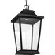 Sean Lavin Warren LED 12 inch Textured Black Outdoor Hanging Lantern