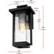 Tilton 1 Light 12 inch Black Outdoor Wall Sconce