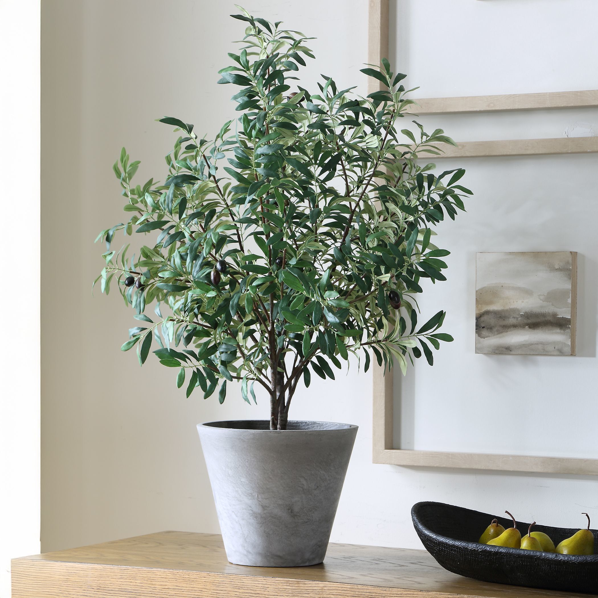 Marisol Stone Gray and Green Potted Olive Plant