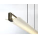 Neoness LED 50 inch Weathered Brass Linear Chandelier Ceiling Light in Clear