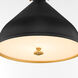 Bonnel 1 Light 16 inch Matte Black and Aged Brass Pendant Ceiling Light