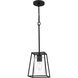 Prescott 1 Light 8 inch Matte Black Mini Pendant Ceiling Light, Small