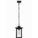 Rock Creek 1 Light 7.5 inch Textured Black Outdoor Pendant