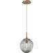 Aster Incandescent 1 Light 10 inch Novel Brass Pendant Ceiling Light in Smoke Aster