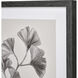 Ginkgo Botanic Ivory with Black and Clear Framed Wall Art