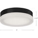 Bedford LED 11 inch Chrome Flush Mount Ceiling Light
