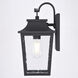 Irving Park 1 Light 13.75 inch Textured Black Outdoor Wall
