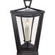 Chapman & Myers Darlana 1 Light 10 inch Bronze Outdoor Wall Lantern