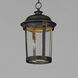 Dover LED LED 10 inch Bronze Outdoor Hanging Lantern