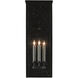 Tanzy 3 Light 28 inch Midnight Black Outdoor Wall Sconce, Large
