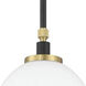 Council 1 Light 7 inch Flat Black/Satin Brass Pendant Ceiling Light in White Frosted Glass