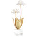 Allium Moly Decorative Flower