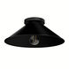 Skyflow 1 Light 14 inch Matte Black Outdoor Flush Mount, Medium