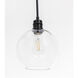 Emett 1 Light 8 inch Black Pendant Ceiling Light